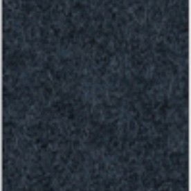 Focus_col_66211.jpg